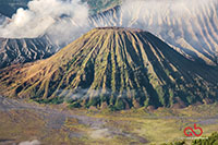 Sony A6000 | Sony 28-70mm | 1/100 | f8 | ISO 100 | Single Exposure